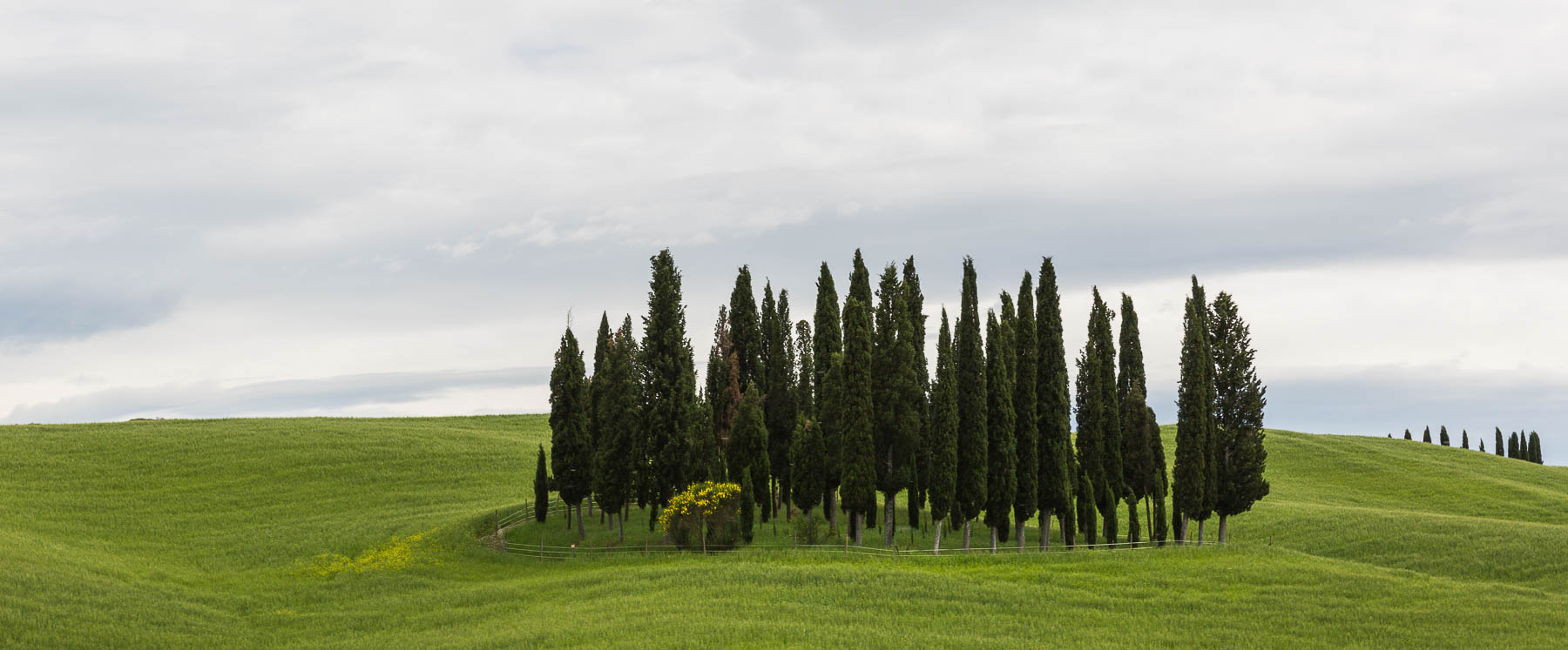 Wein Großhändler für Gastronomie & Wiederverkäufer Italien | Österreich