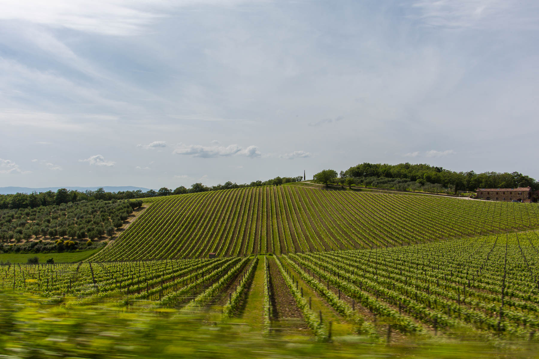 Wein Großhändler für Gastronomie & Wiederverkäufer Italien | Österreich